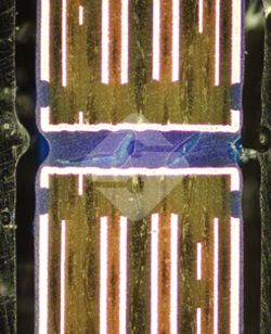 hy590海洋之神检测中心(Macau)股份有限公司-Official website