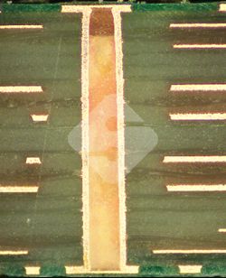 hy590海洋之神检测中心(Macau)股份有限公司-Official website