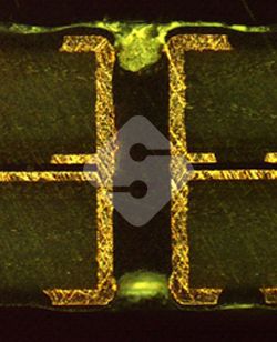 hy590海洋之神检测中心(Macau)股份有限公司-Official website